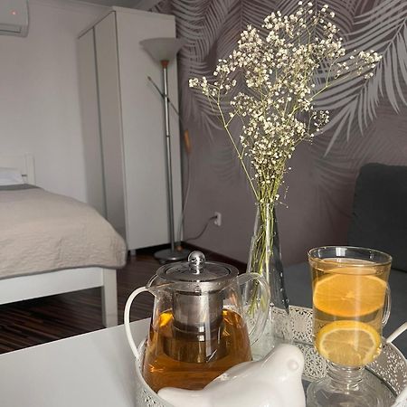 Apartament Na Starowce VII Pszczyna Buitenkant foto
