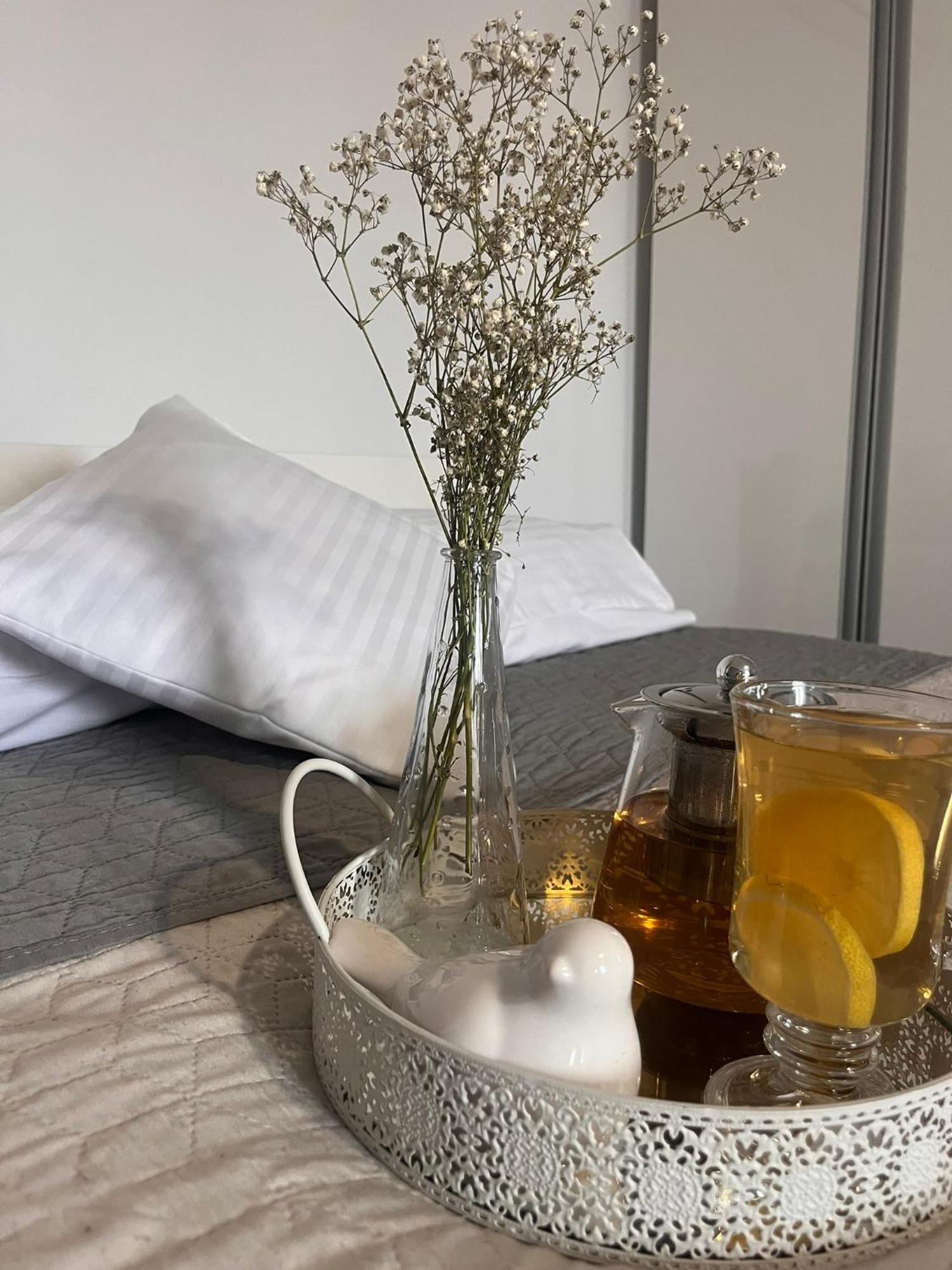 Apartament Na Starowce VII Pszczyna Buitenkant foto