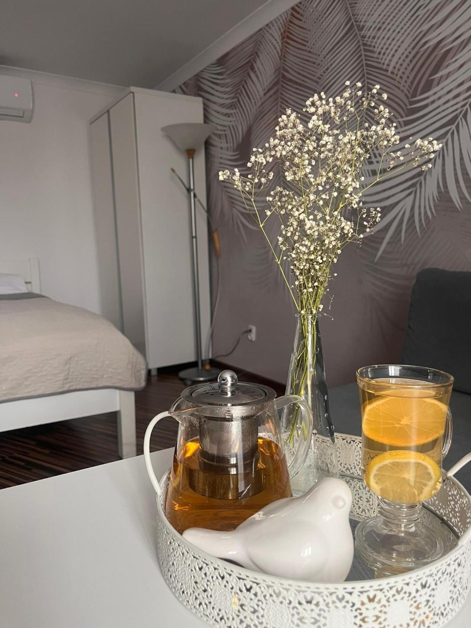 Apartament Na Starowce VII Pszczyna Buitenkant foto